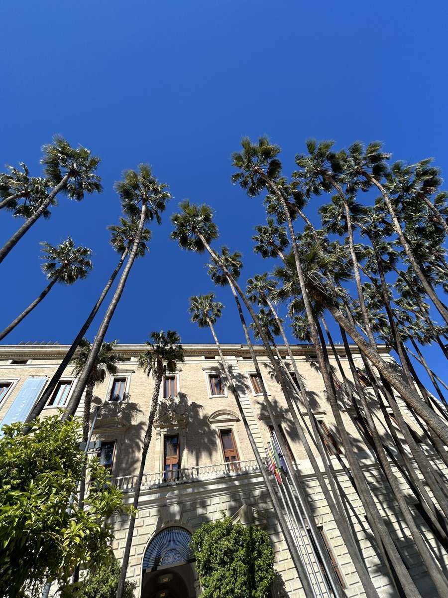 Palmen vor andalusischem Stadthaus