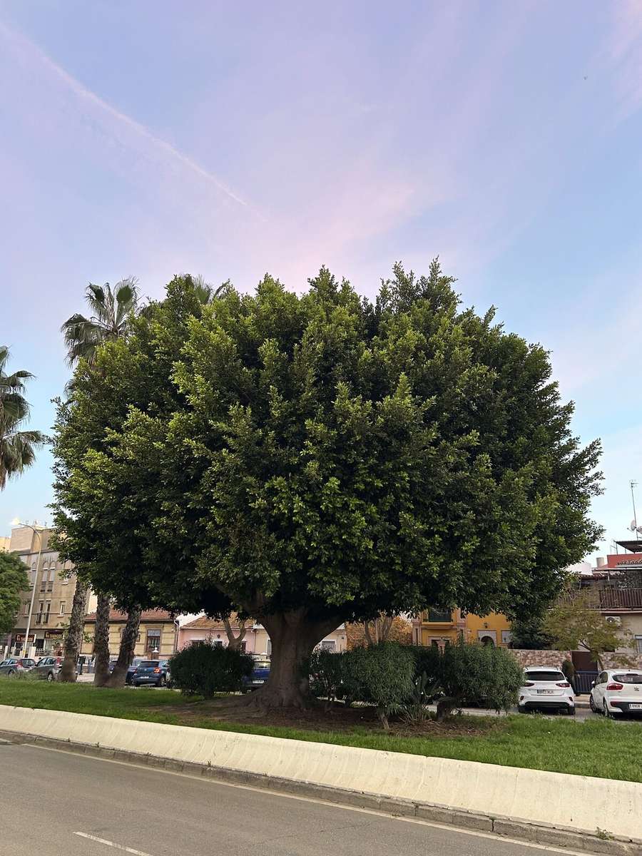 Málaga · Aitekins Eindruck