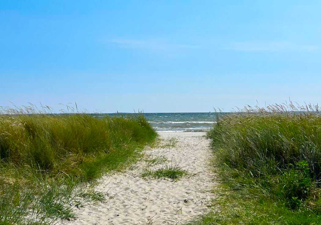 Strand und Dünengras an der Ostsee in Dänemark, der Ort, an dem Aitekin morgens Yoga übt